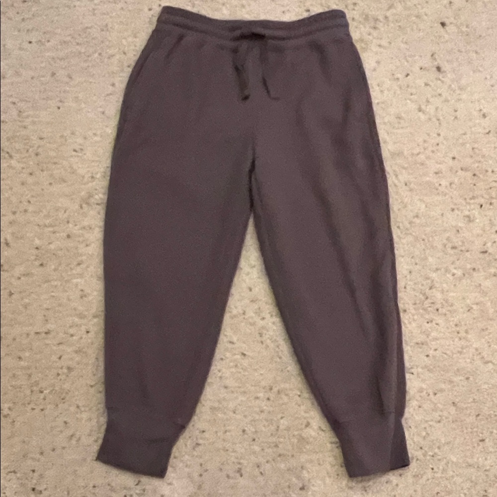 Fabletics Brown Fleece Joggers
